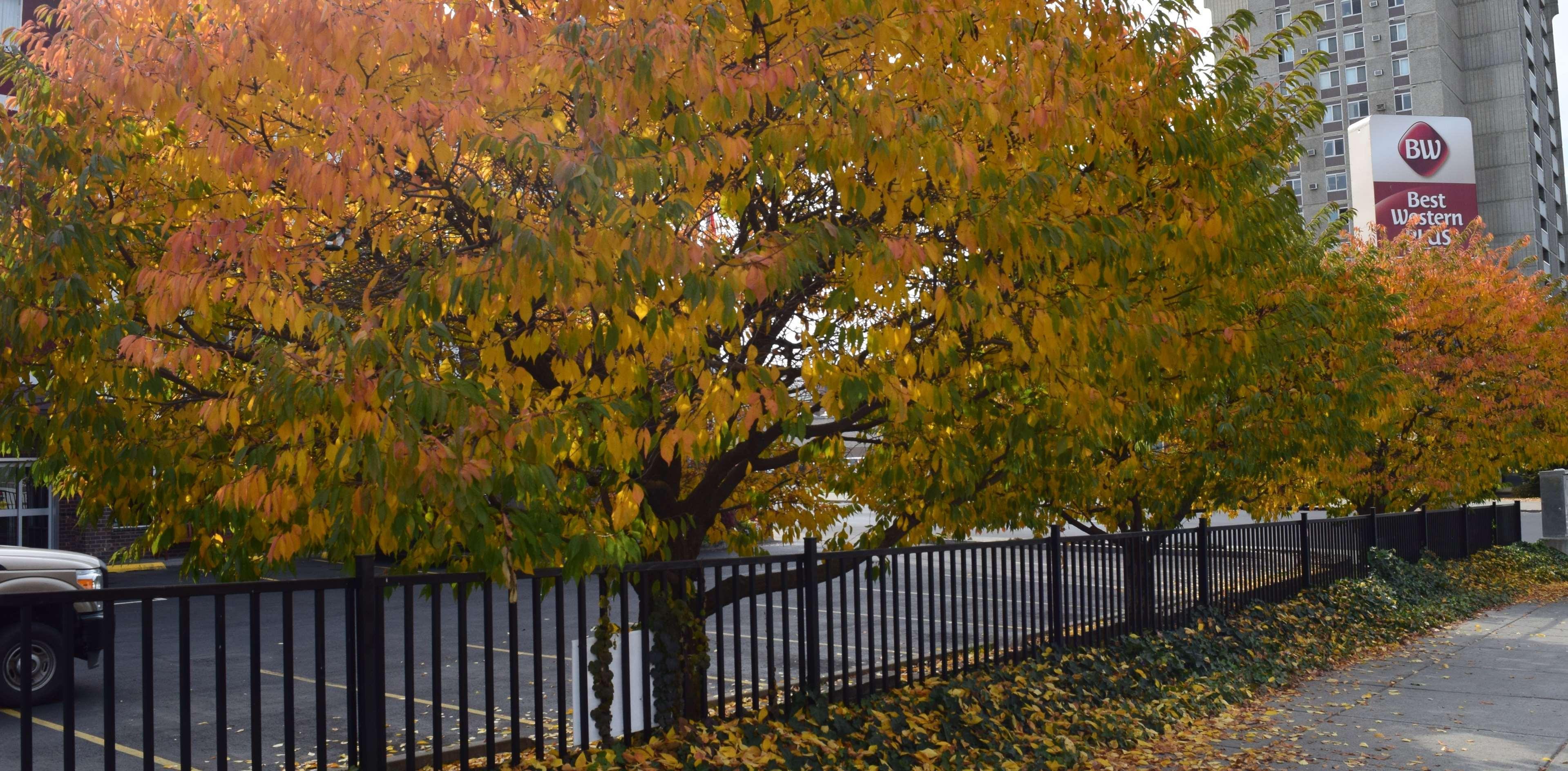 Best Western Plus City Center Spokane Exteriör bild